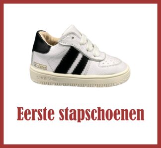 Eerste stapschoenen