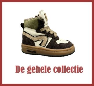 Gehele collectie