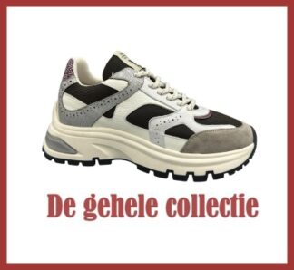 Gehele collectie