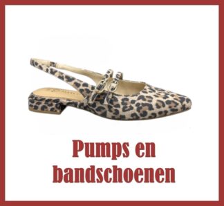 Bandschoenen en pumps