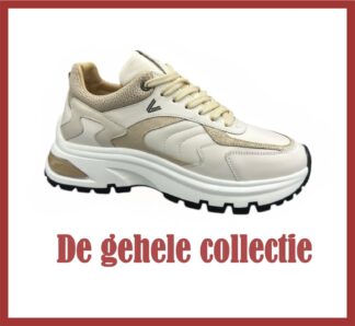 Gehele collectie