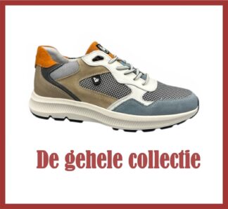 Gehele collectie