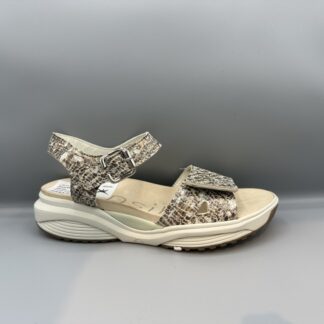 119 Xsensible sandalen brons beige