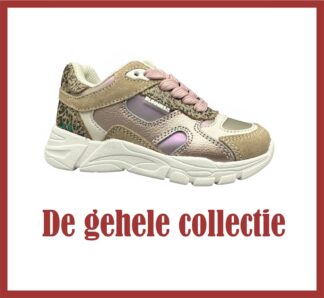 Gehele collectie