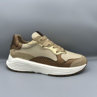 034 Xsensible sneakers beige goud brons