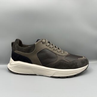 267 Xsensible sneakers bruin